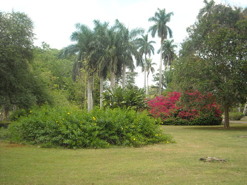 Jardín Botánico Nacional de Cuba