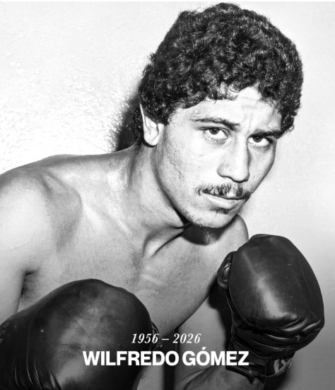 wilfredo gomez 03